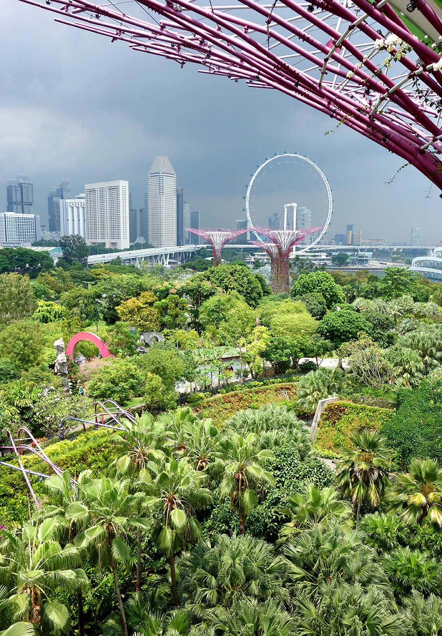 シンガポール × ガーデンズバイザベイ スカイウェイ スーパーツリー・グローブ │ TRAVELEXP│旅行先での個人的な体験まとめ