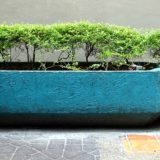 シンガポール × タバコ