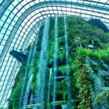 シンガポール × ガーデンズバイザベイ クラウドフォレスト