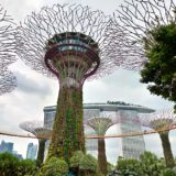 シンガポール × ガーデンズバイザベイ スカイウェイ スーパーツリー・グローブ