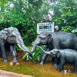 シンガポール × ナイトサファリ JTB現地ツアー利用