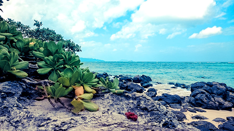 ハワイ オアフ島 風景