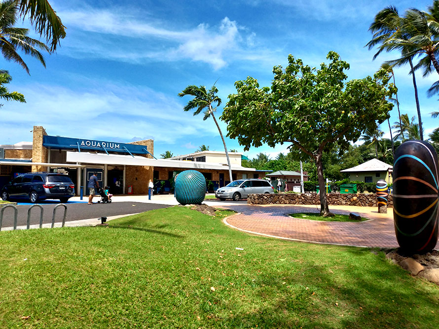 ハワイ ホノルル ワイキキ水族館